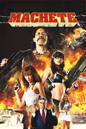 Machete 2010 Hindi Dual Audio 720p BluRay [990MB]