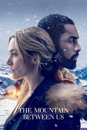 The Mountain Between Us 2017 Dual Audio Hindi 720p Bluray [1GB]